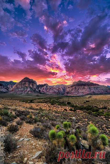tulipnight.tumblr.com/post/104267236230/red-rock-canyon-by-eddie-11uisma-on-flickr