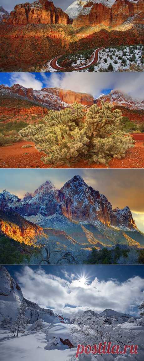 Национальный парк Зайон (Zion National Park) - фотограф Kevin McNeal | Newpix.ru - позитивный интернет-журнал