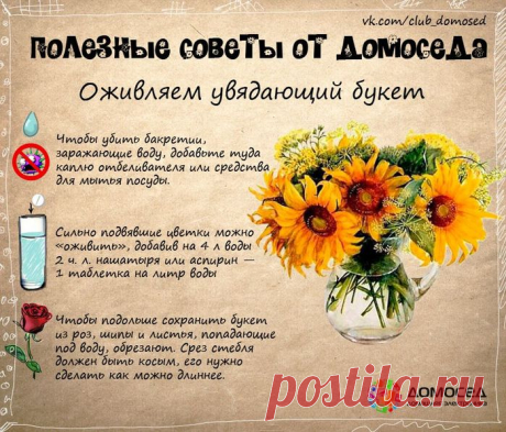 Очень полезные советы