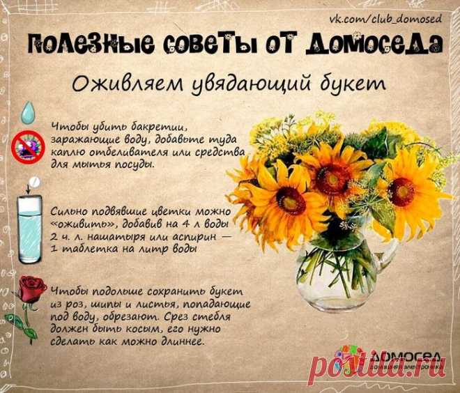 Очень полезные советы