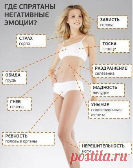 психосоматика таблица заболеваний как лечить: 9 тыс изображений найдено в Яндекс.Картинках