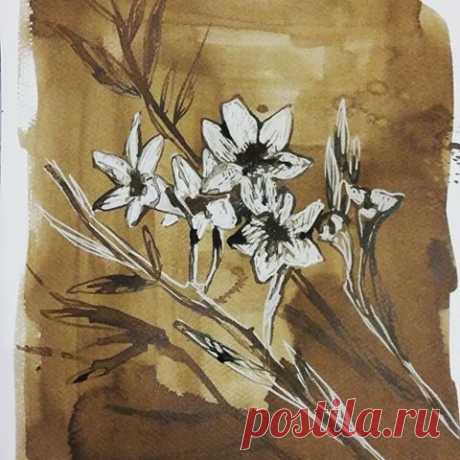 dibujos con nogalina - Поиск в Google