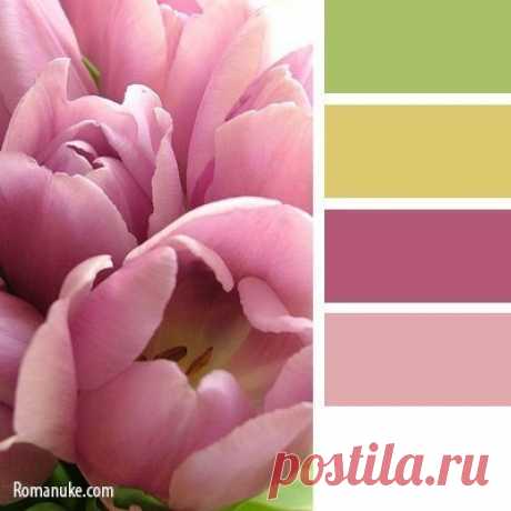 Фотографии на стене сообщества | 32 788 фотографий | ВКонтакте