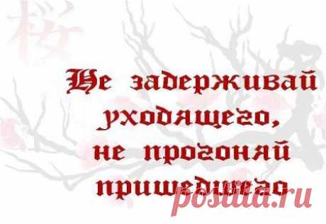 Японской мудрости пост. — Всегда в форме!