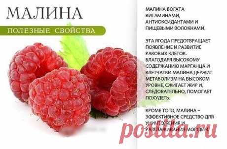 Полезные свойства ягод и фруктов