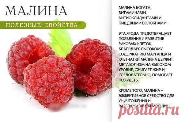 Полезные свойства ягод и фруктов