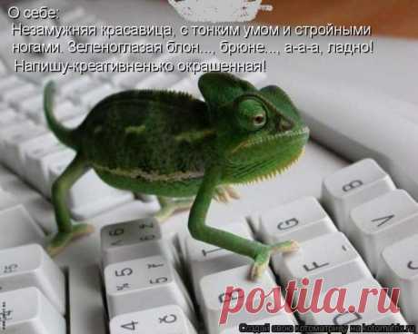 dlyakota.ru_kotiotkotomatrici_1327495606441.jpeg (изображение «JPEG», 700 × 560 пикселов)