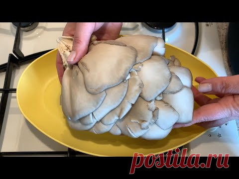 Что приготовить из ВЕШЕНОК?