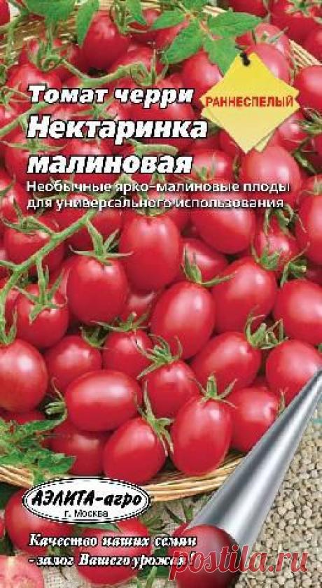 Раннеспелый томат черри "Нектаринка Малиновая"