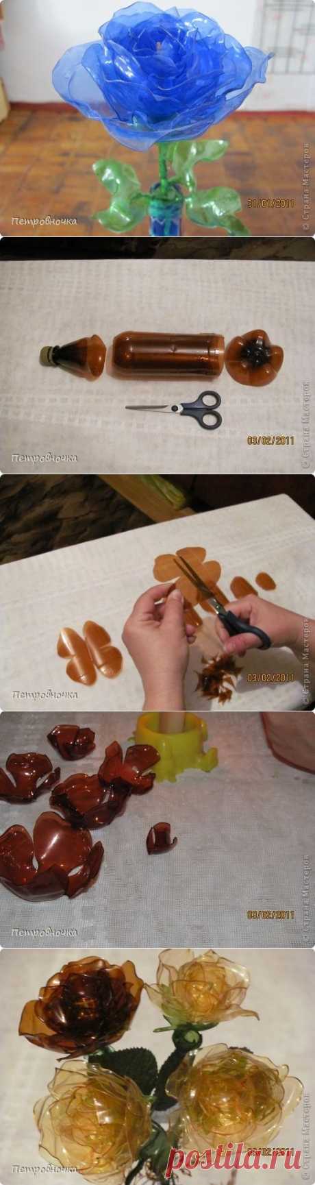 МК по голубой розе.