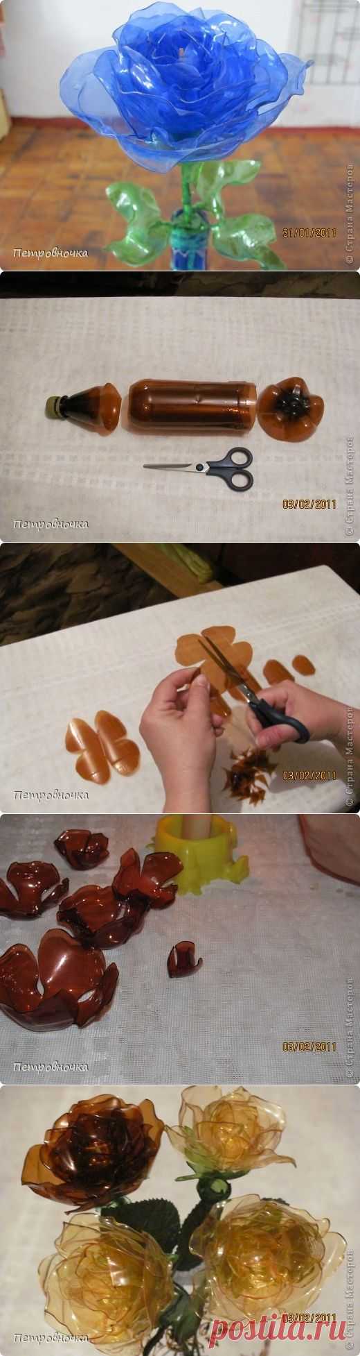 МК по голубой розе.