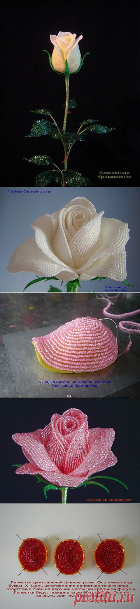 Французские розы из бисера от Александра Крамаренко | Умелые ручки