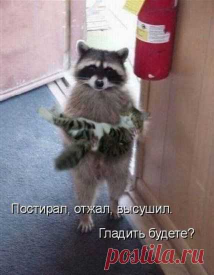 Светлана Квятковская