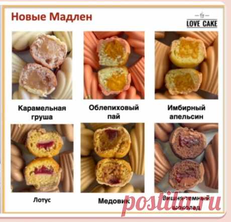 Скриншот-09-09-2025 09:46:51.jpg