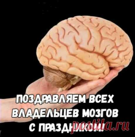 Ежегодно 22 июля отмечается Всемирный день мозга, призванный привлечь внимание к главному органу центральной нервной системы.