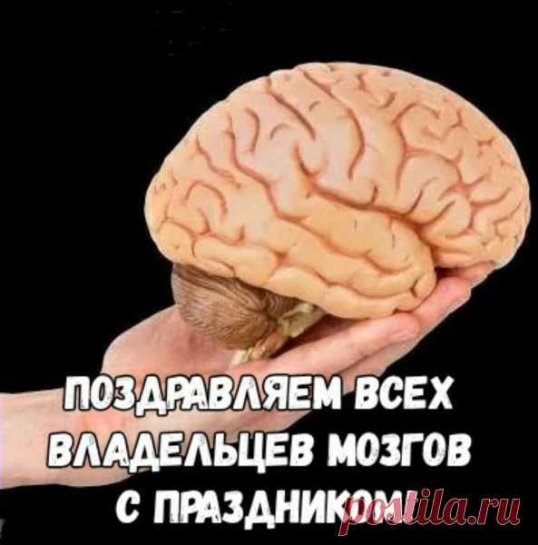 Ежегодно 22 июля отмечается Всемирный день мозга, призванный привлечь внимание к главному органу центральной нервной системы.