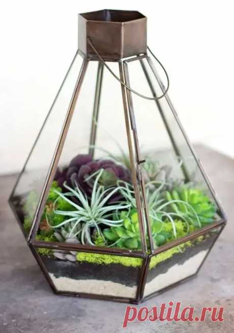 Terrario: +87 Bellos Modelos, Tipos de Plantas y Fácil Paso a Paso