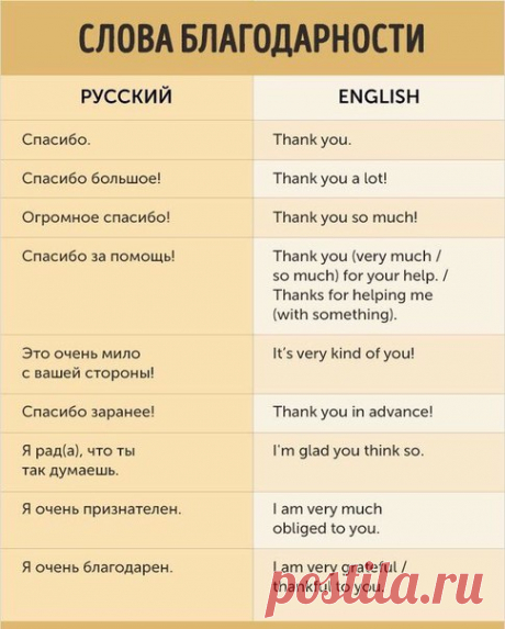 Английский язык
Шпаргалка с полезными фразами
