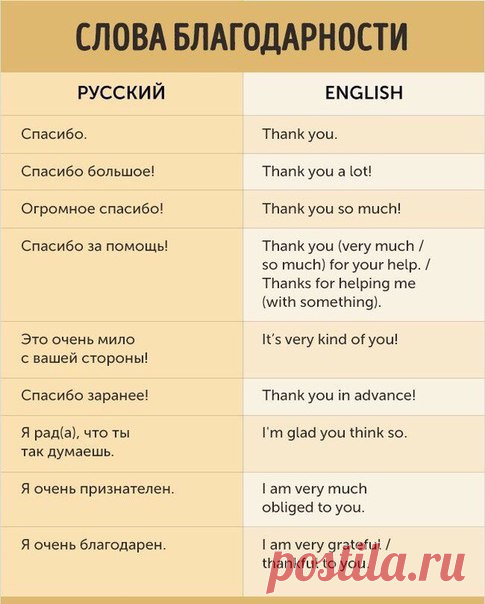 Английский язык
Шпаргалка с полезными фразами