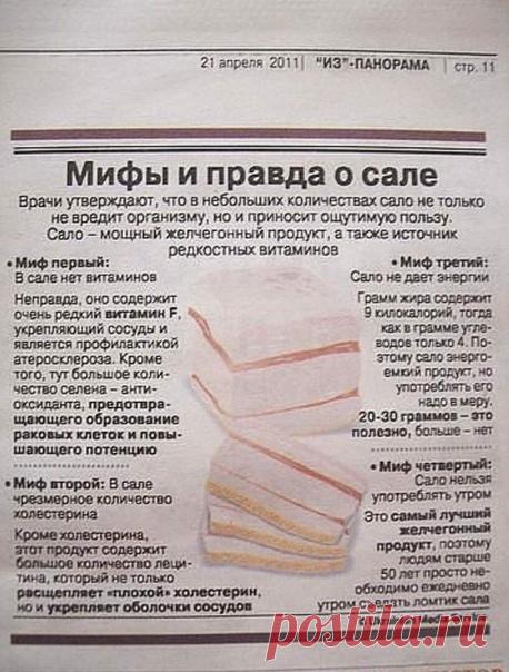 Мифы о сале