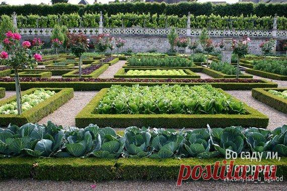 ДИЗАЙН ОГОРОДА. НЕТРАДИЦИОННЫЕ ПОДХОДЫ