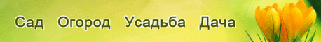 На каком пальце носить кольцо для улучшения судьбы: : Дневники - diets.ru