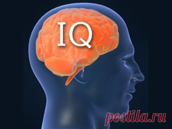 Тест. Проверьте свой IQ