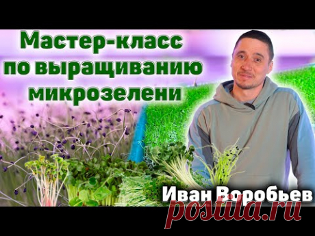 Микрозелень. Мастер-класс по выращиванию микрозелени от  Ивана Воробьева.