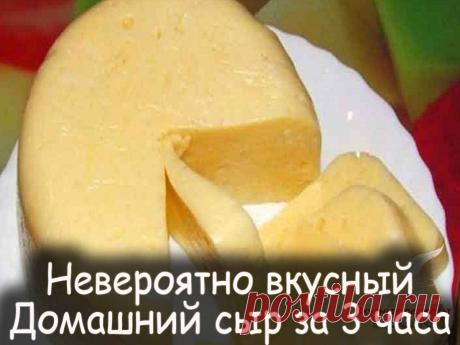Домашний сыр за 3 часа