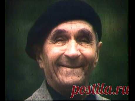 Георгий Милляр. Человек в кадре