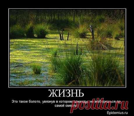 ЖИЗНЬ