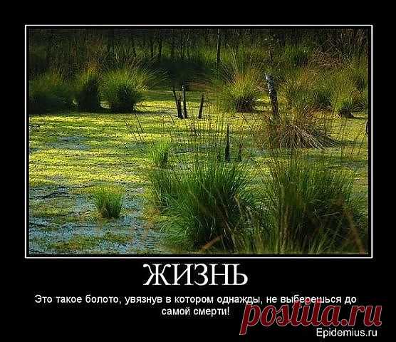 ЖИЗНЬ