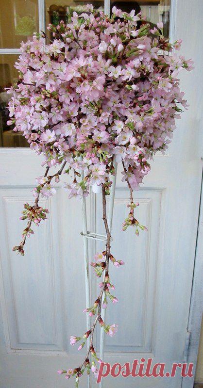 Найдено на сайте www5e.biglobe.ne.jp.