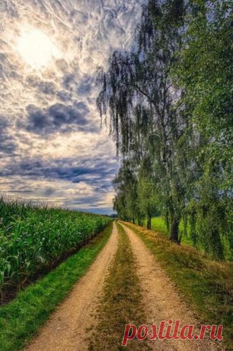 Лучшие фото – Пейзажи/Флора – Сообщество – Google+