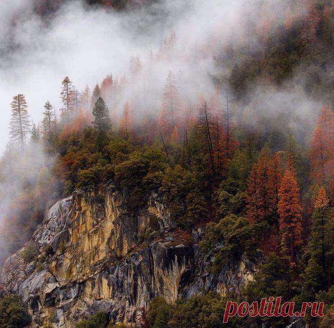 (9) Мой Мир@Mail.Ru