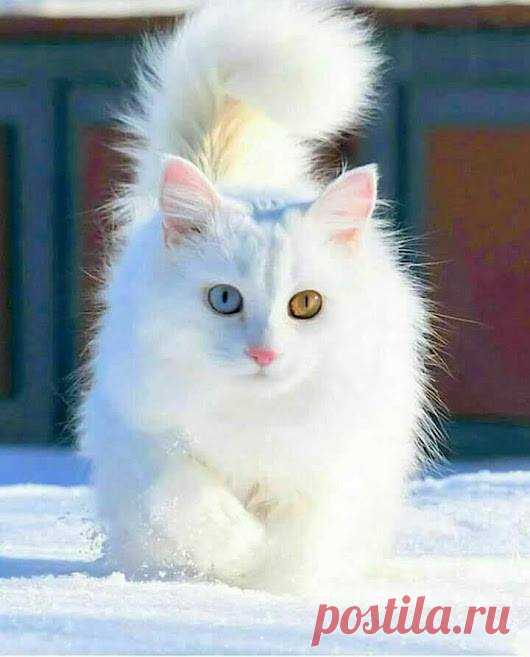 (2) Facebook
