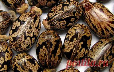 Касторовое масло для кутикулы и ногтей