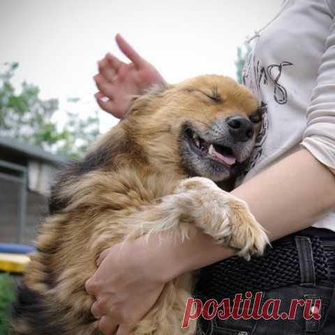 Индекс человечности