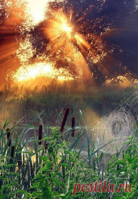 h-118.jpg (500×718)