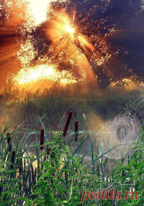 h-118.jpg (500×718)