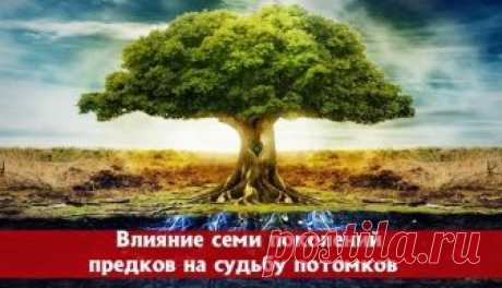 ВЛИЯНИЕ СЕМИ ПОКОЛЕНИЙ ПРЕДКОВ НА СУДЬБЫ ПОТОМКОВ... 
Уходя к праотцам, души усопших не исчезают бесследно, информационная и генетическая связь между ними и их потомками сохраняется. Большинство древних традиций признавало значимость влияния предков на …