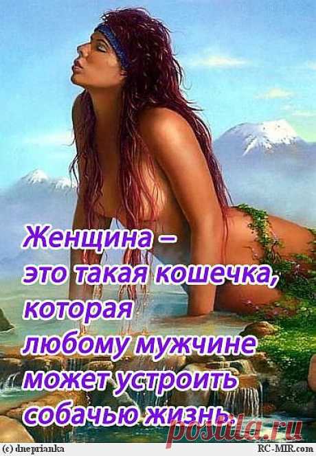 о женщинах
