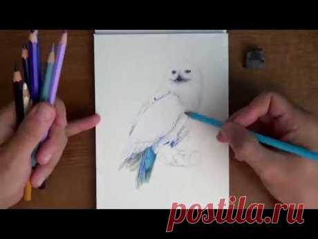 Букля из Гарри Поттера - рисунок карандашами