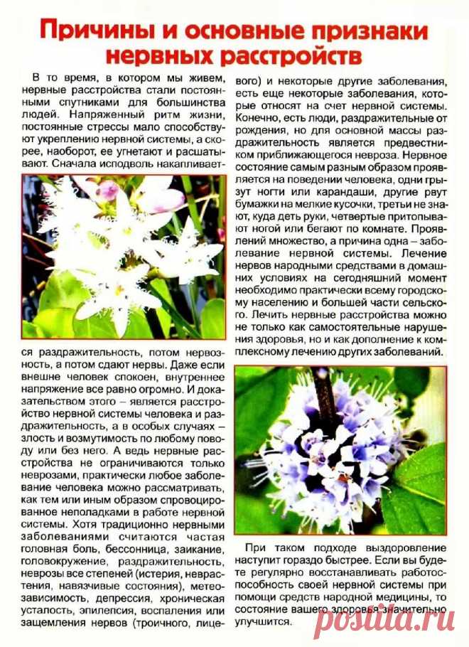 Причины и основные признаки нервных расстройств