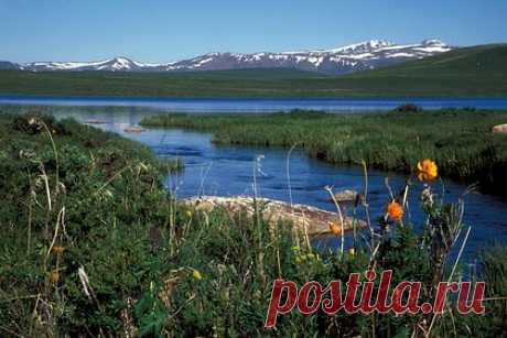 На Алтае нашли «мини-Чукотку». На юге Республики Алтай нашли природную зону, напоминающую ландшафты Чукотки. Об этом на пресс-конференции ТАСС рассказал директор Алтайского биосферного заповедника Игорь Калмыков. В такие места можно попасть в составе экспедиций, в том числе туристических, которые организует сам заповедник.