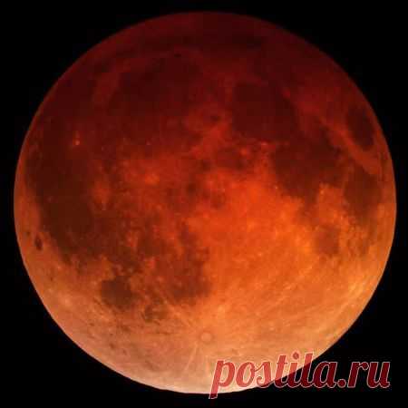 Автор фото: Mauricio Guimaraes.  |  «Кровавая Суперлуна»: какой ее увидели жители Земли — National Geographic Россия