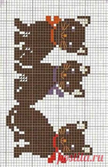 Black kittens graph pattern