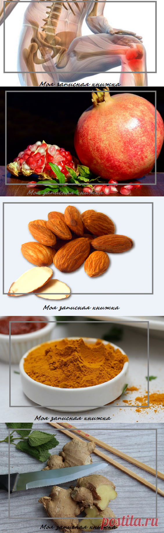 7 продуктов, которые помогут укрепить и восстановить хрящи костей | моя записная книжка | Яндекс Дзен