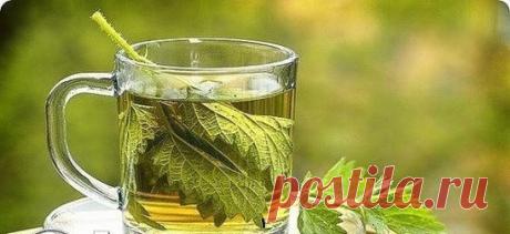 Применяем травы с умом!
87 трав: показания и противопоказания
К сожалению травы не так безопасны, как принято считать. Ниже перечислены самые распространенные опасные растения. Может быть не стоит относиться к этому очень категорично, но учитывать все же очень желательно.
И еще: "... все есть яд, и все есть лекарство. Одно от другого отличает только доза" - помните об этом - не превышайте дозировок.
1. Адонис весенний.
Ядовитое растение соблюдать точную дозировку.
2. Аир обыкновенный, корни.