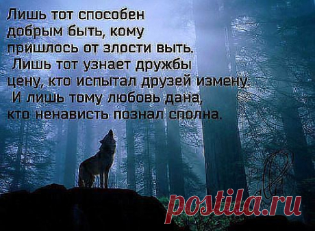 (3) Facebook